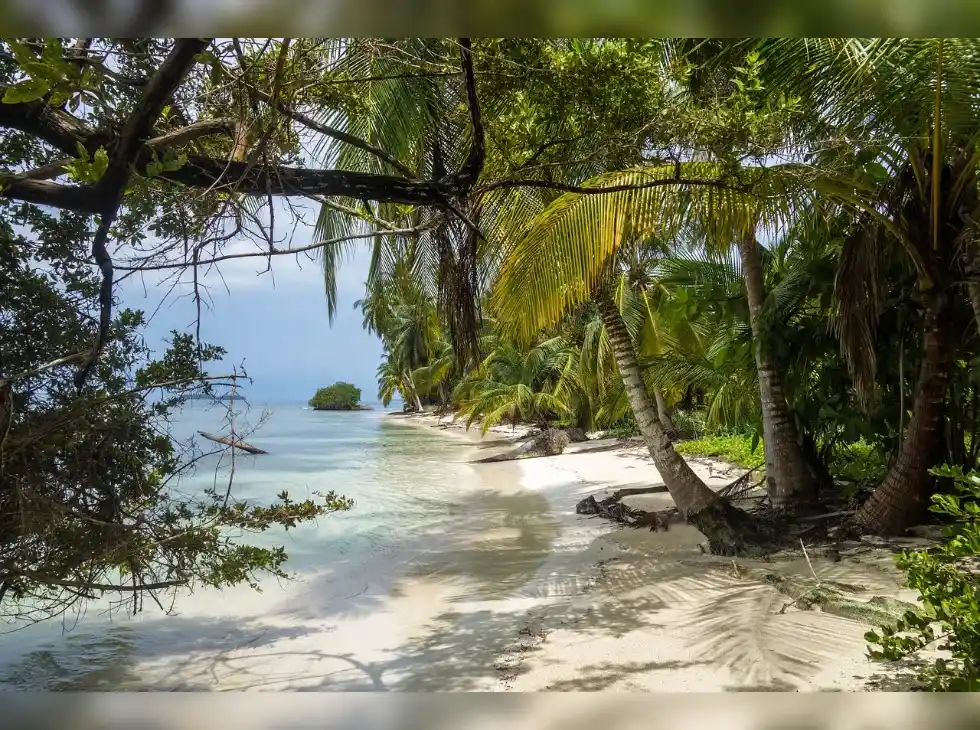 Iguana Island