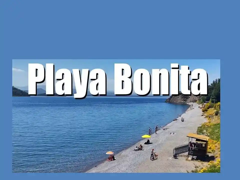 Resorst Dreams Playa